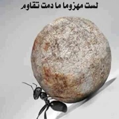 mohamed hamdy sarhan