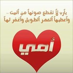 Mohamed Elfeki 5