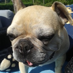 Intergalactic Lovers