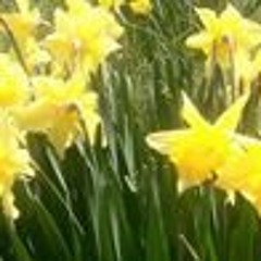 Amber Getoutmaface Helzer