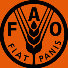 FAO Southern Africa