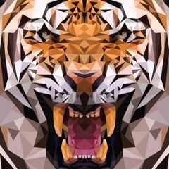 Jack Flash's Music Vault