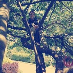 josh_hobbs