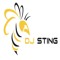 DJ Sting