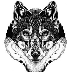 Progressive & Psychedelic