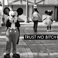 FATE E.L.N.Y