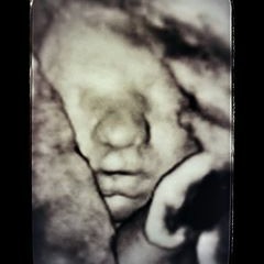 Amberlee Tryphena Lehman