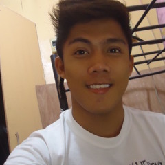 Ibarra Floresta Sabio