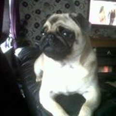 Charlie Rafferty Taylor