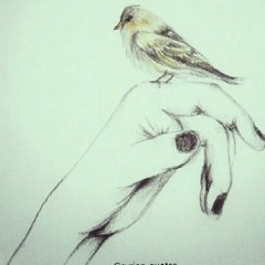 shioom_5
