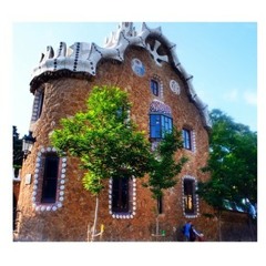 heemskerkfloorheemskerk