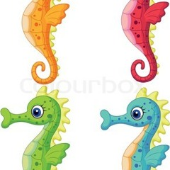 seahorse12