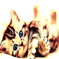 Antoinetteeee