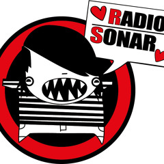 RadioSonar_net