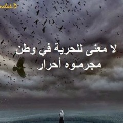 mona hassan 53