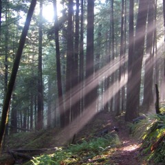 Crystal Rodriguez 97