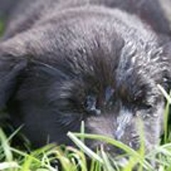 Emma Louise Claridge