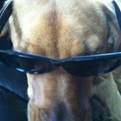 Christopher Keough 1