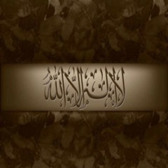 paryshexkarem.bawashex