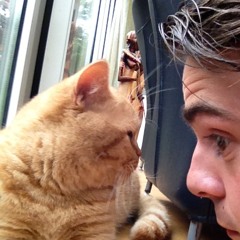 Rogier van der Maten