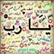 AHMED ABDEL MONIEM