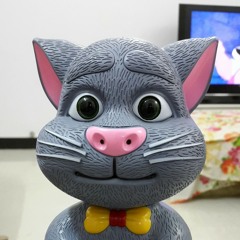 kitty67