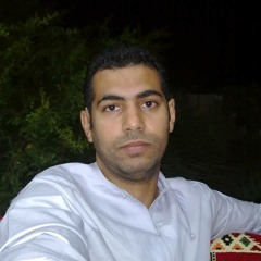 Mohammed Ayman Ghannam