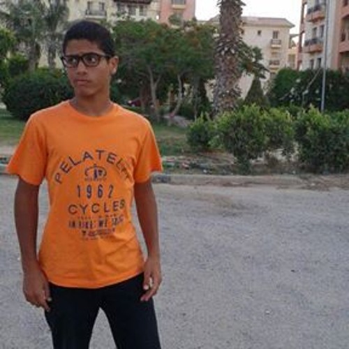 الشيخ محمد احمد حسن