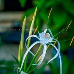 Ei Mon Aung Eimonaung