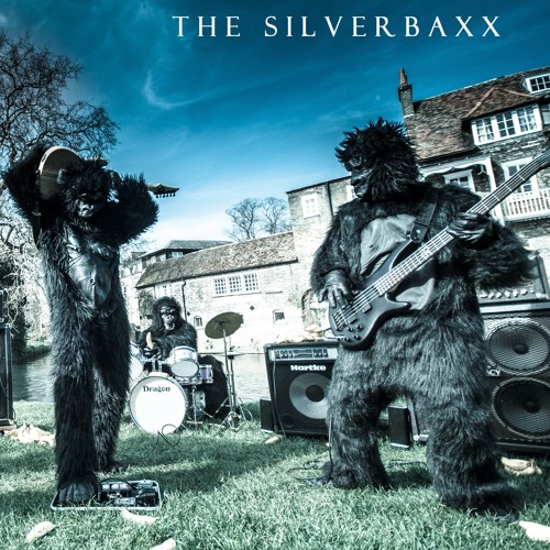 The SilverBaxx’s avatar