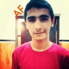 Ahmed Fetouh 2