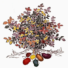 La Papa Cantora Voces