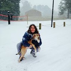 Travis Williamson Gay