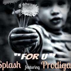 Splash631