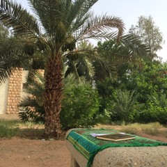 تلاوات مختارة