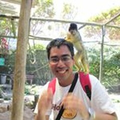 Rafael Seichi Marchiori