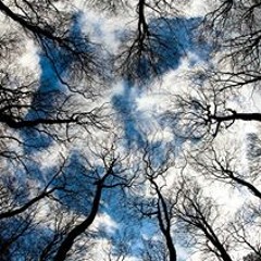 Alba Areliz De Jesus