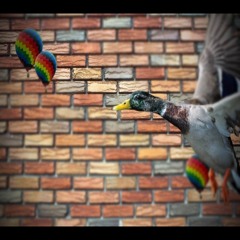 General C U S T A R D