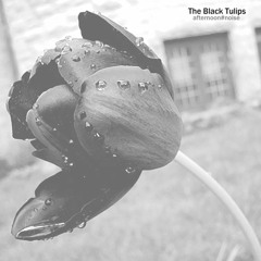 The Black Tulips Official