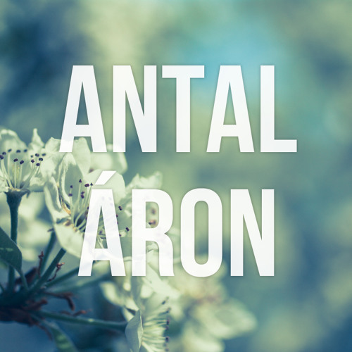 Antal Áron’s avatar