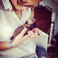 Panik Pop - Soulsearch