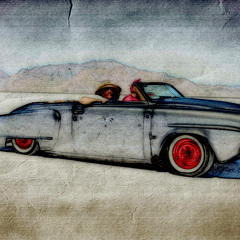 Swan 12
