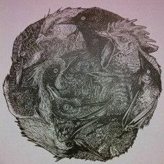 Some Birds