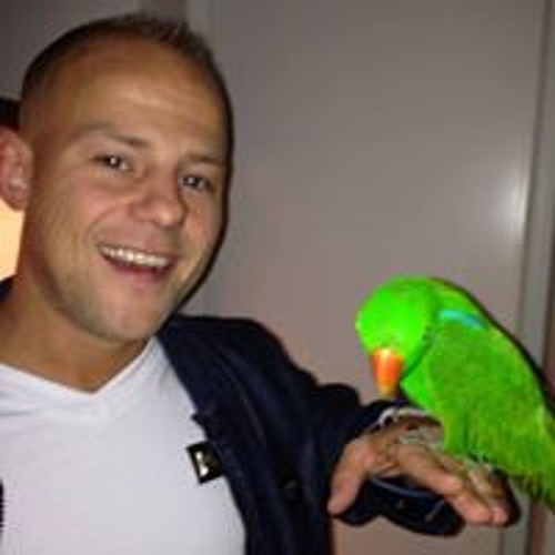 Stream Ewout Steunebrink Music Listen To Songs Albums Playlists For