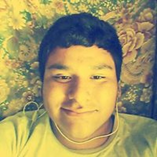 Armando Pedroso Flores’s avatar