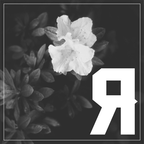 RockmiNi’s avatar