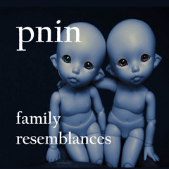 pnin  family resemblances