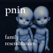 pnin  family resemblances