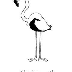 Cleo Flamingo