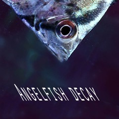 Angelfish Decay